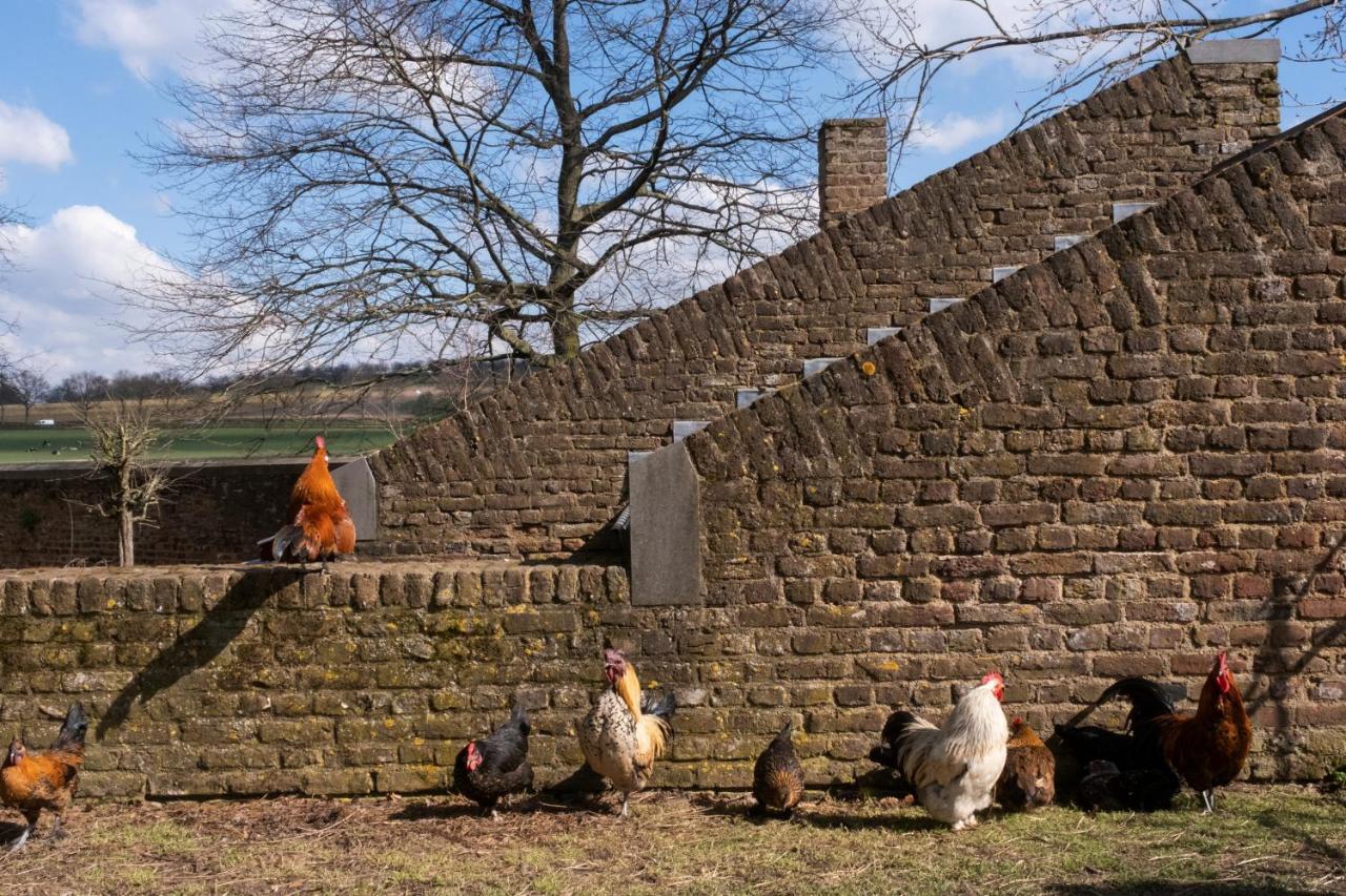 Meschermolen 7 Withuis Exterior photo